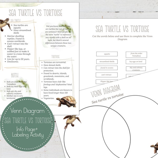 Sea Turtle vs Tortoise Venn Diagram Activity, Homeschool, Montessori, Instant Download