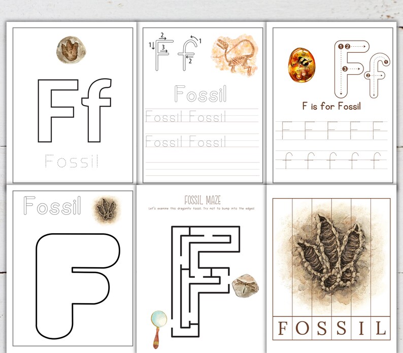 May include: A printable worksheet for kids to learn about fossils. The worksheet features a large letter F, the word "Fossil" written multiple times, a maze, and a picture of a fossil.