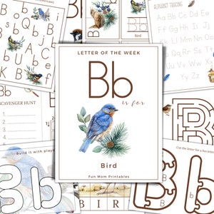 CARTA de la SEMANA, B es para Pájaro, Actividades de la Letra B, Aprendizaje del Alfabeto, Letras del Alfabeto, Educación en Casa, Imprimible, Descarga Instantánea