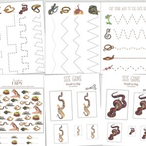 Snakes Unit Study: Anatomy, Life Cycle, Homeschool Printable (instant ...