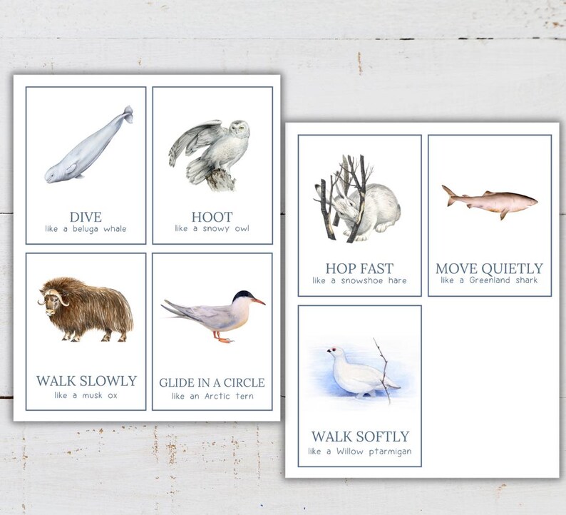 May include: Two sets of watercolor animal cards. One set features a beluga whale, snowy owl, musk ox, and Arctic tern. The other set includes a snowshoe hare, Greenland shark, and Willow ptarmigan. Each card has an action word and animal name.
