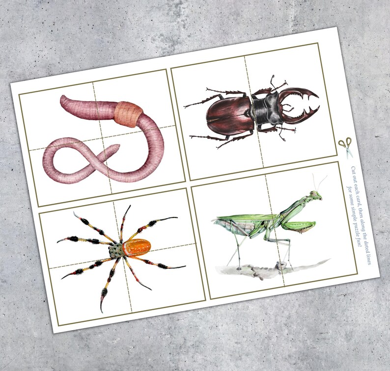 MINIBEASTS Matching Cards, Symmetry Puzzle, Toddler Preschool Activity ...
