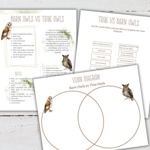 TRUE vs KERKUILEN Venn Diagram Activiteit, Homeschool, Montessori, Instant Download