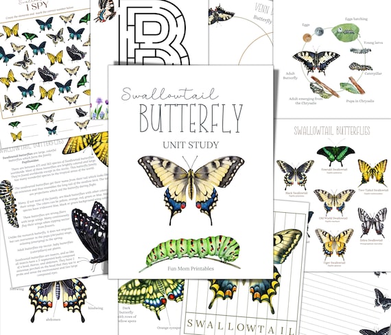 Swallowtail Butterfly Unit Study: Homeschool Nature Printable (Instant Download)