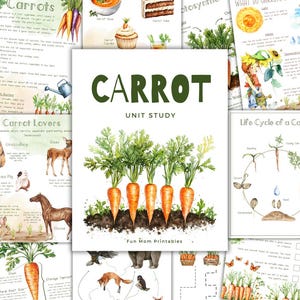 Puede incluir: Un conjunto de imprimibles educativos con temática de zanahorias. La imagen central presenta cinco zanahorias naranjas con hojas verdes que emergen del suelo. Otras páginas muestran datos sobre zanahorias, ciclos de vida y animales relacionados con las zanahorias. El título "CARROT UNIT STUDY" está visible.