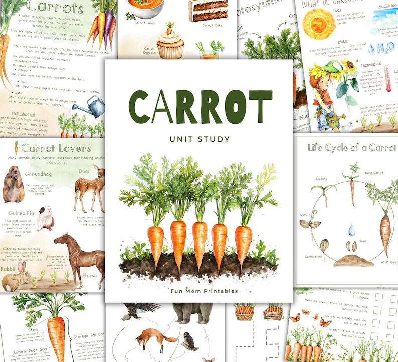 CARROT Unit Study, Life Cycle, Anatomy, Nature Study, Science ...