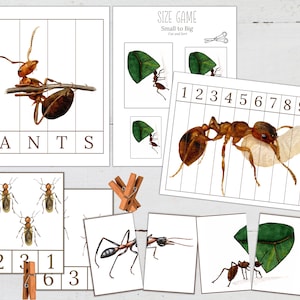 May include: A printable educational game for kids featuring ants carrying leaves and a size game with numbers 1 through 10. The game is titled "Size Game: Small to Big, Cut and Sort".