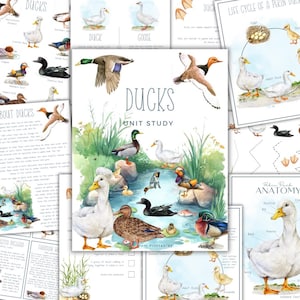 May include: Educational printables about ducks, featuring watercolour illustrations. The central image shows various duck species in a pond. Includes pages on duck anatomy, life cycles, and a unit study.