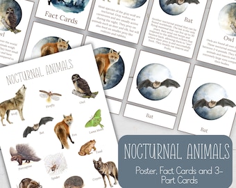 Puede incluir: Un conjunto de pósters y tarjetas didácticas imprimibles con animales nocturnos. Los pósters y las tarjetas presentan ilustraciones de animales como búhos, murciélagos, lobos, zorros y más, con un fondo de luna llena. El texto "Animales nocturnos" se muestra en una pancarta marrón en la parte superior de la página.