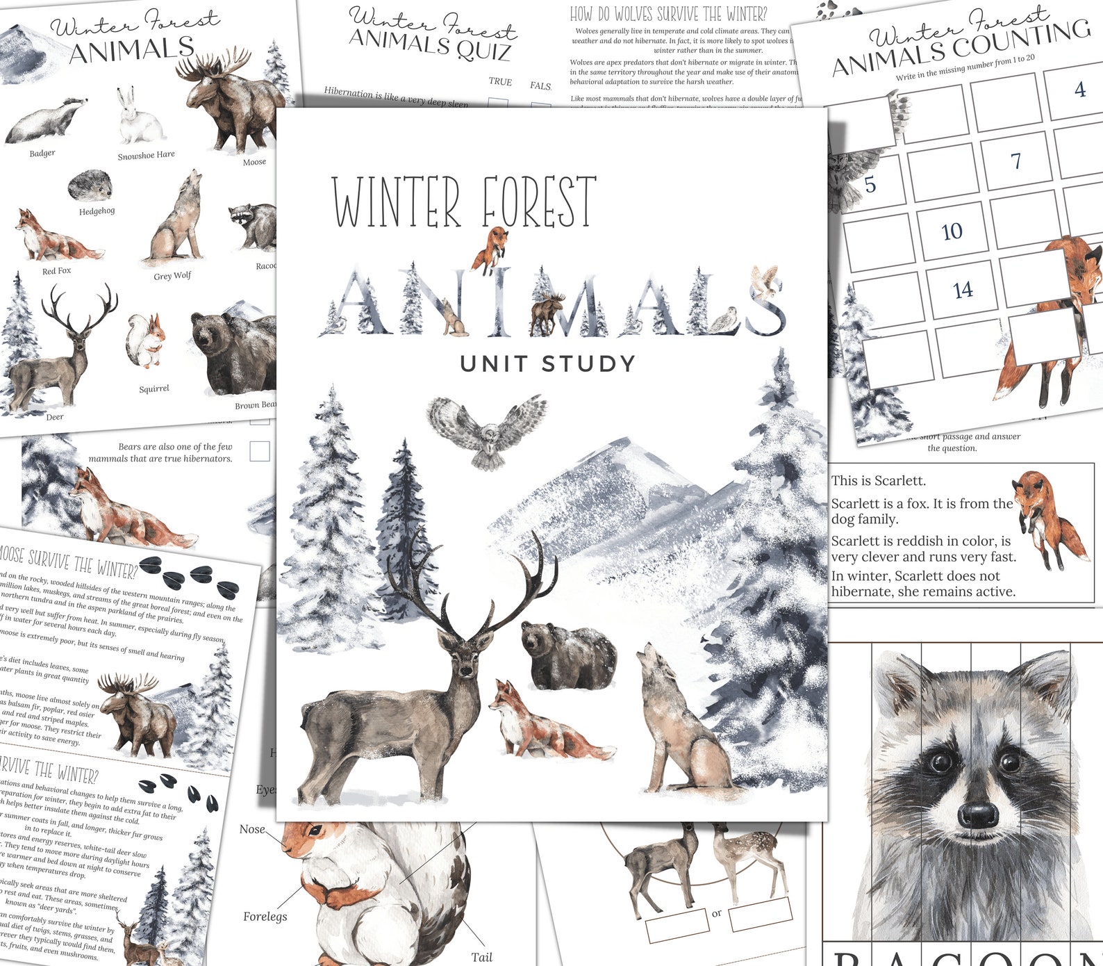 WINTER FOREST ANIMALS Unit Study Anatomy Nature Study - Etsy