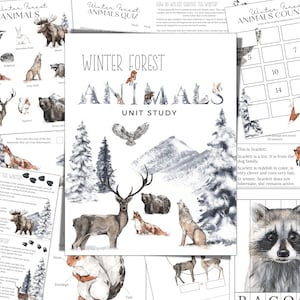 WINTER FOREST ANIMALS Unit Study, Anatomy, Nature Study, Science,  Handwriting, Homeschool Printable, Montessori, Instant Download