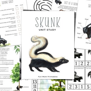 Estudo de unidade SKUNK, ciclo de vida, anatomia, estudo da natureza, ciência, caligrafia, ensino doméstico para impressão, Montessori, DOWNLOAD instantâneo