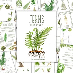 May include: A printable educational unit study about ferns, featuring a watercolor illustration of a fern with its roots, a life cycle diagram, and a fern quiz. The text "FERNS UNIT STUDY" is at the top of the page, and the text "Fun Mom Printables" is at the bottom.