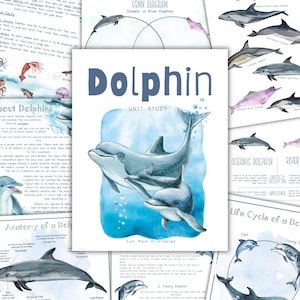 Pode incluir: Um conjunto educativo imprimível Dolphin Unit Study com ilustrações em aguarela de golfinhos, um diagrama de Venn, diagramas de anatomia e gráficos de ciclo de vida com títulos como Dolphin, About Dolphins e Anatomy of a Dolphin.