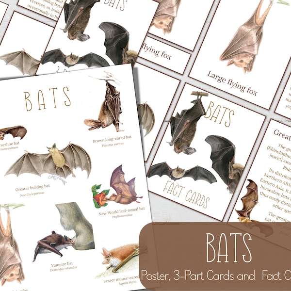 BATS Mini Poster, Fact Cards and 3 Part Cards, Nature, Digital DIY, Montessori Cards, Homeschool Resources, Instant Download