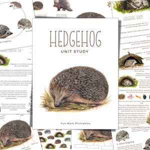 Estudo de unidade HEDGEHOG, ciclo de vida, anatomia, estudo da natureza, ciência, caligrafia, ensino doméstico para impressão, Montessori, download instantâneo