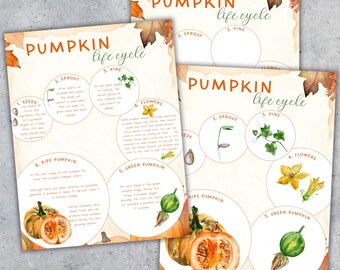 Puede incluir: Ilustraciones en acuarela del ciclo de vida de la calabaza en tres hojas de papel. Las etapas incluyen semillas, brote, vid, flores, calabaza verde y calabaza madura. El texto "Pumpkin Life Cycle" está en la parte superior.