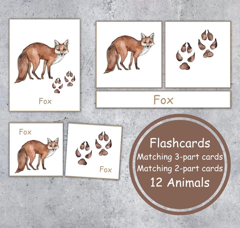 WOODLAND ANIMALS Tracks, Flashcards and Matching Activities, Instant ...