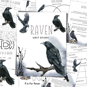 RAVEN Unit Study, Anatomy, Nature Study, Science,  Handwriting, Homeschool Printable, Montessori, Instant DOWNLOAD
