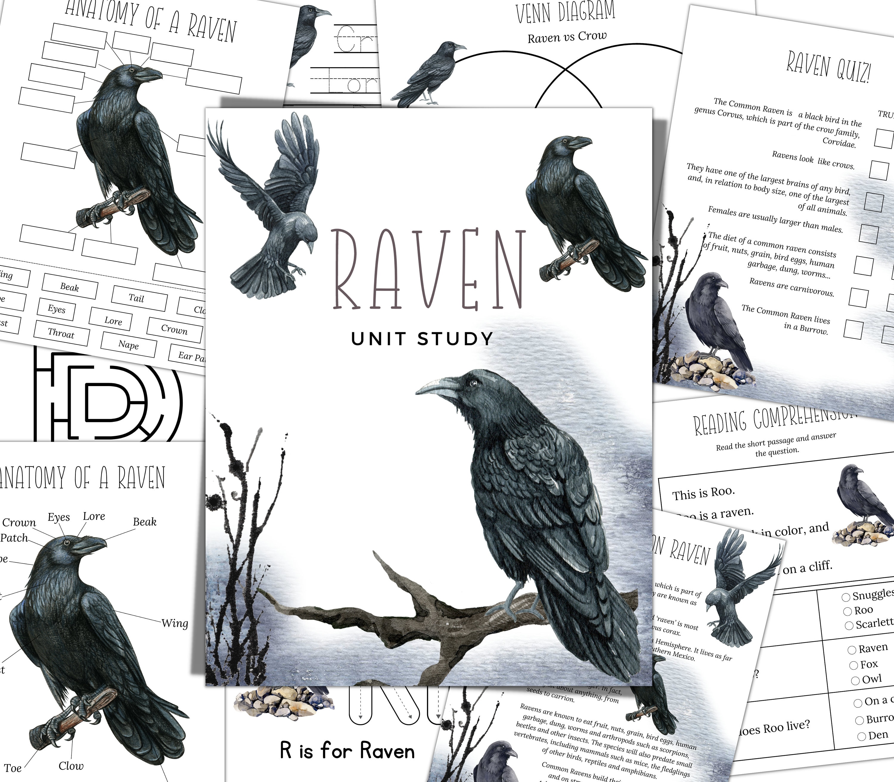 RAVEN Unit Study, Anatomy, Nature Study, Science,  Handwriting, Homeschool Printable, Montessori, Instant DOWNLOAD
