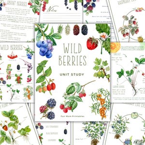 May include: A collection of educational printables about wild berries. The central image features the title "Wild Berries Unit Study" with illustrations of various berries, including blueberries, raspberries, and blackberries. Other pages detail berry types and plant life cycles.