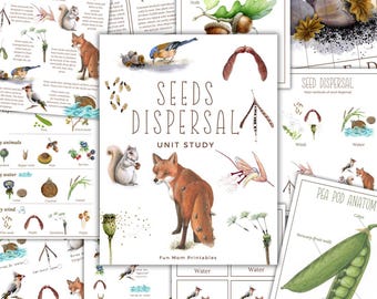 Puede incluir: Un conjunto de hojas de trabajo educativas imprimibles para un estudio de unidad sobre la dispersión de semillas. Las hojas de trabajo presentan ilustraciones coloridas de animales, plantas y semillas, junto con texto que explica diferentes métodos de dispersión de semillas, como el viento, el agua y los animales. El título del estudio de unidad es "Estudio de unidad sobre la dispersión de semillas".