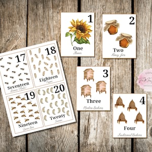 Honey Bees Counting Cards, 1 to 20 Counting  Homeschool Printable, Montessori, INSTANT DOWNLOAD