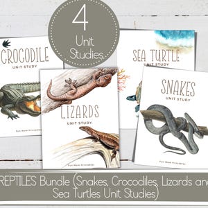 Puede incluir: Un conjunto de cuatro estudios unitarios imprimibles para niños sobre reptiles. Los estudios unitarios incluyen cocodrilos, tortugas marinas, serpientes y lagartos. Cada estudio unitario presenta una ilustración colorida del animal y el texto "Estudio unitario".