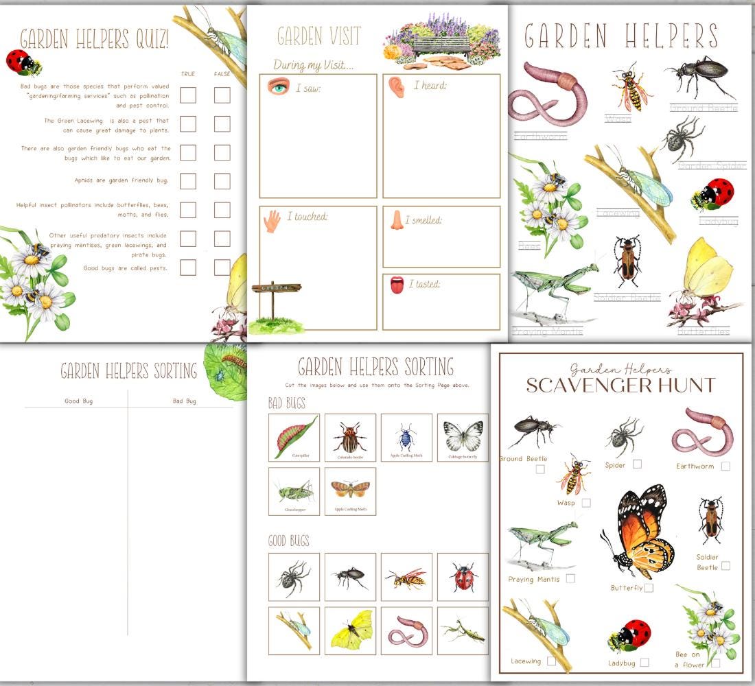 Garden Helpers Unit Study: Insect Anatomy & Life Cycle (digital ...