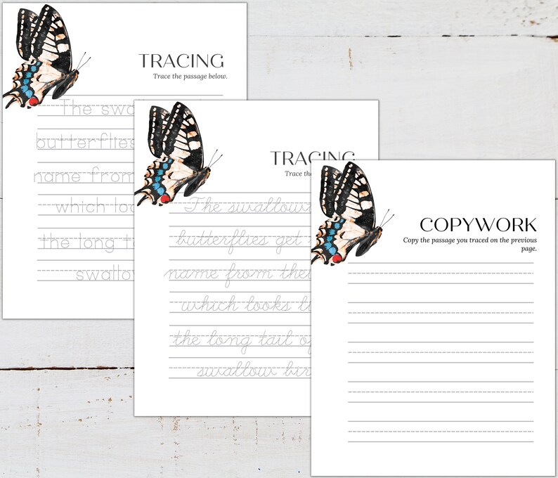 May include: Tracing and copywork worksheet featuring a colorful butterfly illustration. The worksheet includes the text "The swallow butterflies get their name from the long tail of a swallow bird."