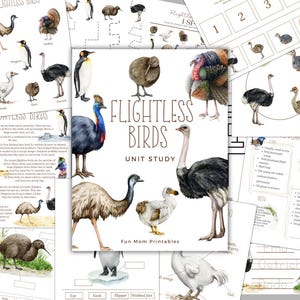 FLIGHTLESS Birds Unit Study, Life Cycle, Anatomy, Nature Study, Science,  Handwriting, Homeschool Printable, Montessori, INSTANT DOWNLOAD