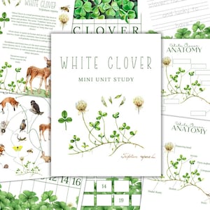 May include: White clover mini unit study printable pack with illustrations of clover plants, flowers, and leaves. The pack includes a clover anatomy diagram, a word search, and a counting activity.