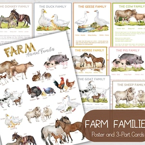 Tarjetas didácticas de animales de granja: Mini póster educativo (PDF imprimible)