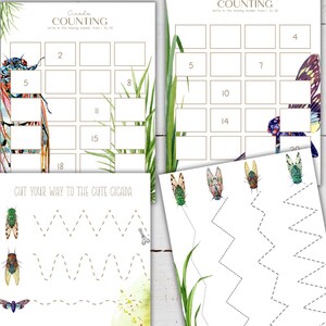 Cicada Life Cycle Unit Study: Anatomy, Homeschool Printable (instant ...