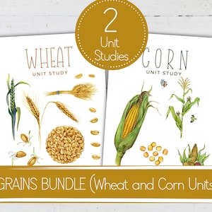 May include: A printable bundle of two educational unit studies on wheat and corn. The colorful illustrations feature wheat stalks, kernels, and a corn cob. The text reads "Wheat Unit Study" and "Corn Unit Study".