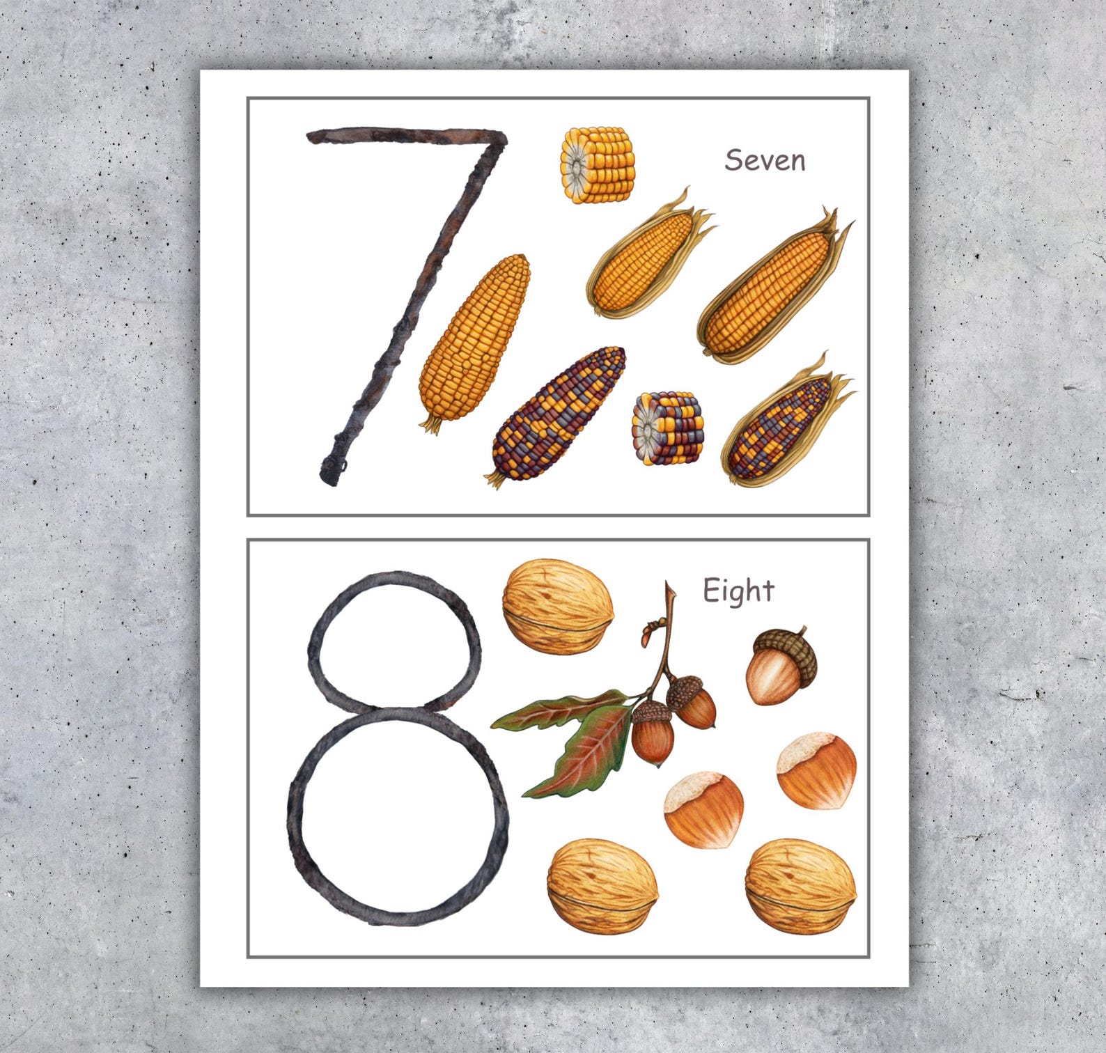 AUTUMN/FALL NATURE Counting Flashcards, 1 to 10 Counting, Toddler ...