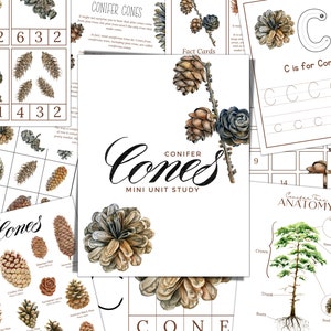 CONIFER Cones Unit Study,  Vocabulary, Anatomy, Handwriting, Homeschool Printable, Montessori, INSTANT DOWNLOAD