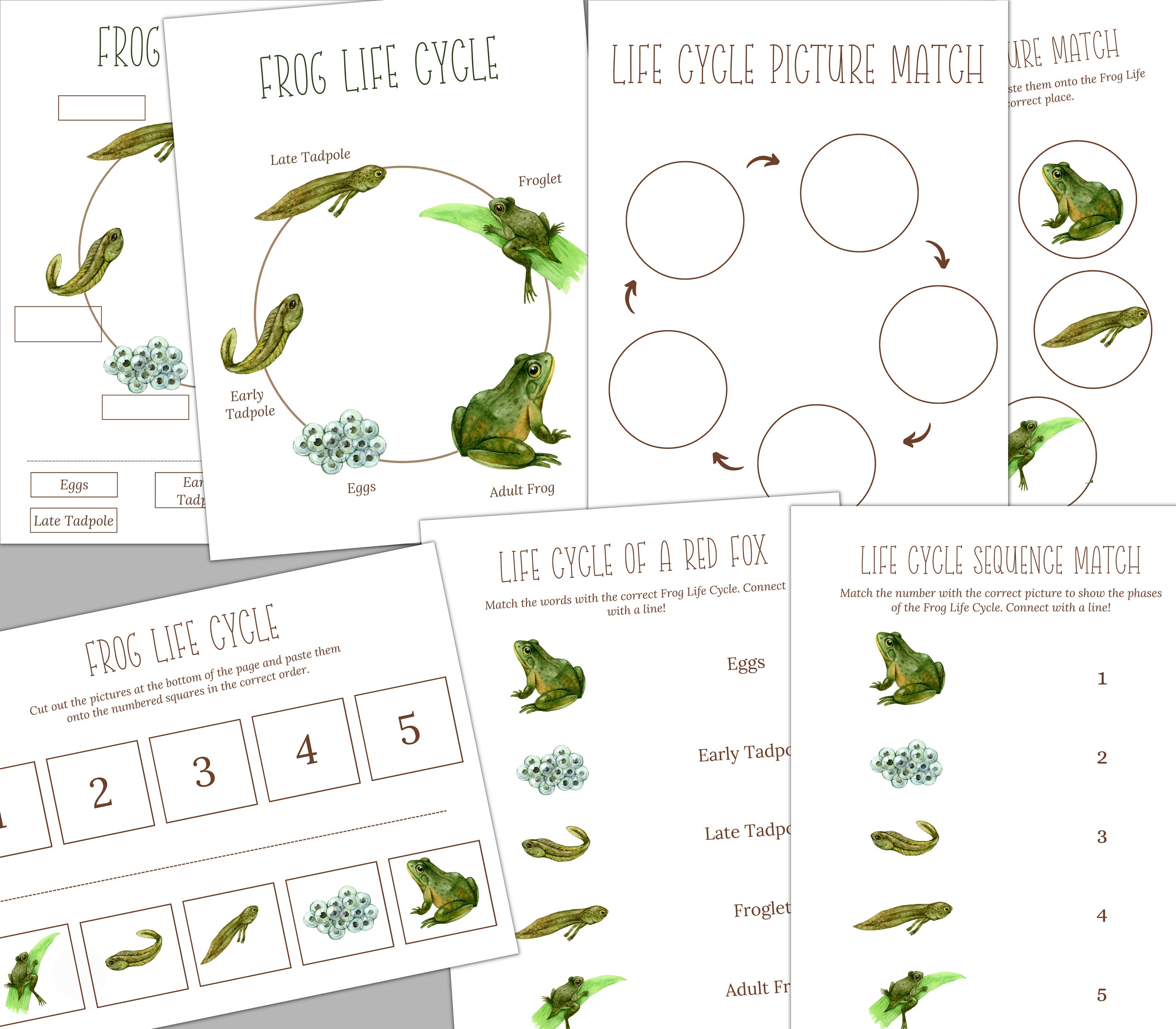 FROG Unit Study, Life Cycle, Anatomy, Nature Study, Science ...