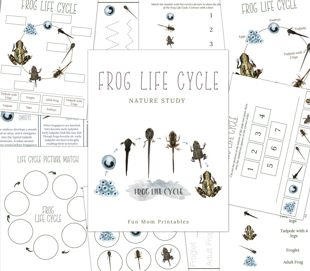 FROG Life Cycle, Nature Study, Homeschool Printable, Instant Download ...