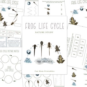 Ciclo di vita FROG, studio della natura, homeschool stampabile, download istantaneo