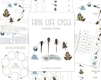 FROG Life Cycle, Nature Study, Homeschool Printable, Instant Download