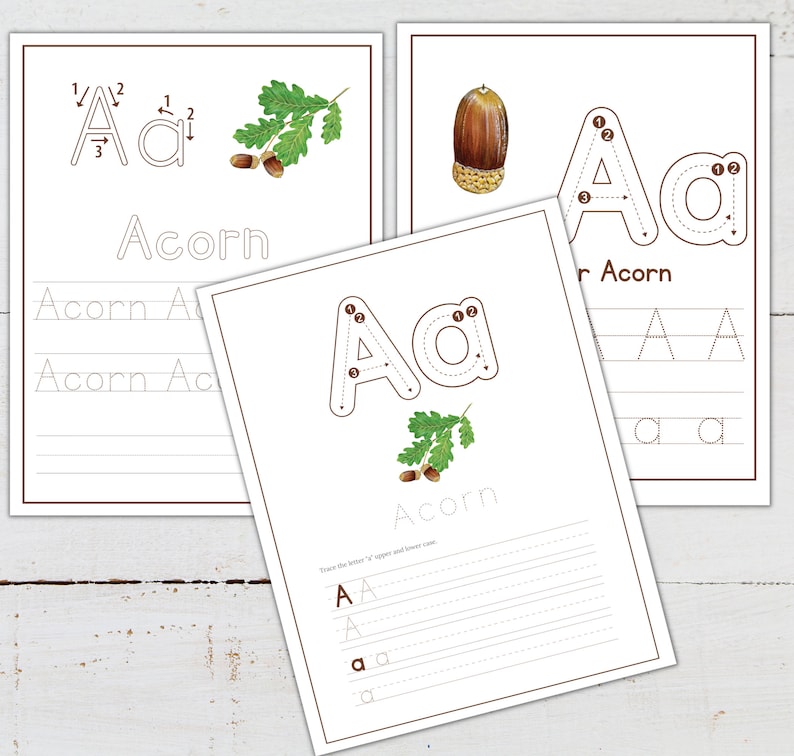 Letter A Acorn Learning Activities: Homeschool Printable (digital ...