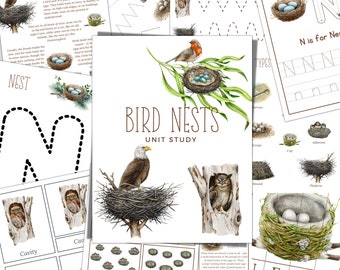 BIRD NESTS Unit Study, Nature Study, Science,  Handwriting, Homeschool Printable, Montessori, Instant Download