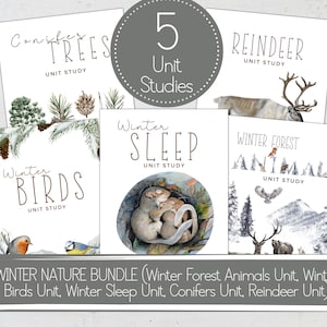 May include: A set of five printable unit studies for kids about winter nature. The units include winter birds, winter sleep, winter forest animals, conifers, and reindeer. Each unit study has a title, a unit study label, and an illustration.
