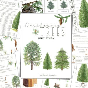 CONIFER TREE Unit Study, levenscyclus, anatomie, natuurstudie, wetenschap, handschrift, Montessori, Instant DOWNLOAD