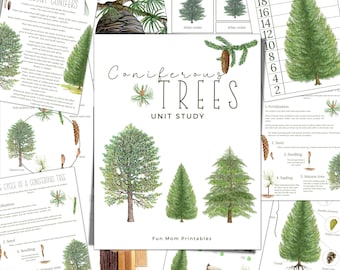 CONIFER TREE Unit Study,  Life Cycle, Anatomy, Nature Study, Science,  Handwriting, Montessori, Instant DOWNLOAD