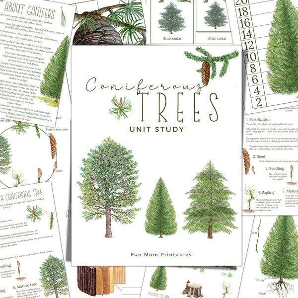 CONIFER TREE Unit Study,  Life Cycle, Anatomy, Nature Study, Science,  Handwriting, Montessori, Instant DOWNLOAD