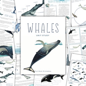 WHALES Unit Study, levenscyclus, anatomie, natuurstudie, wetenschap, handschrift, homeschool afdrukbaar, Montessori, INSTANT DOWNLOAD