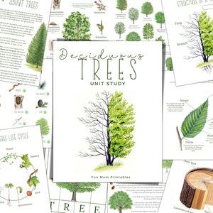 DECIDUOUS TREES  Unit Study, Life Cycle, Anatomy, Nature Study, Science,  Handwriting, Montessori, Instant DOWNLOAD