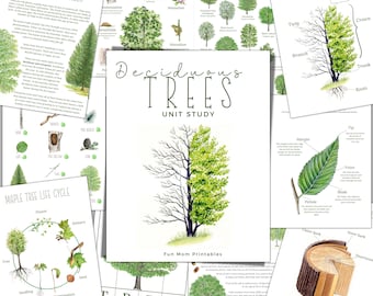 May include: A printable unit study about deciduous trees. The study includes illustrations of a tree, leaves, and a cross-section of a tree trunk. The text includes the words "Deciduous Trees Unit Study" and "Fun Mom Printables".